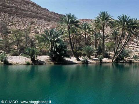 Wadi 