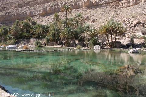 Wadi Bani Khalid oasis: palm trees rocks and clear turquoise water