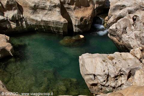 natural pool