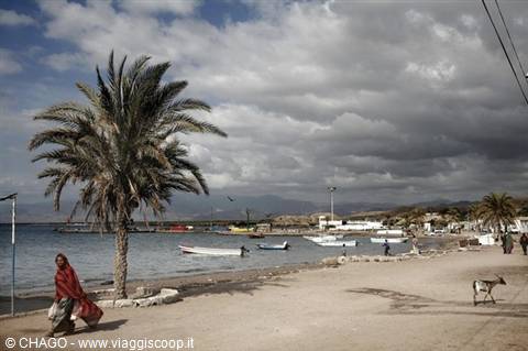 Woman in red walks on sandy beach with palm tree, boats and goat