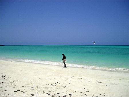 Man walking alone on white sand in front of turquoise sea