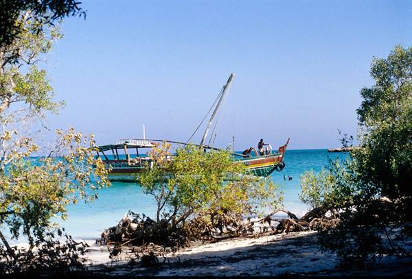 Colorful dhow anchored in turquoise water among green branches and white sand