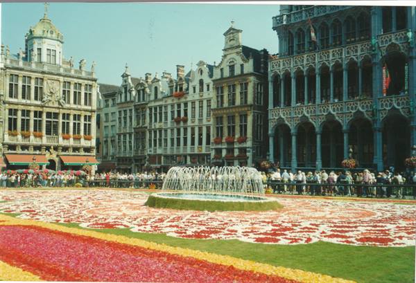 Flower carpet and fountain on Brussels' Grand-Place among gothic guildhalls