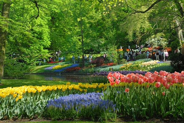 the wonderful gardens of Keukenhof