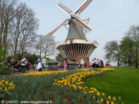 Keukenhof gardens