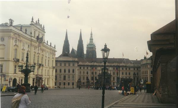 the parliament