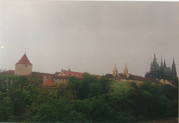 the castle