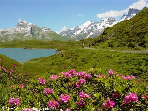 Lake Melchsee