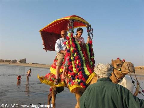 Tourists on a garland-decorated camel, turbaned guide, children playing on the beach