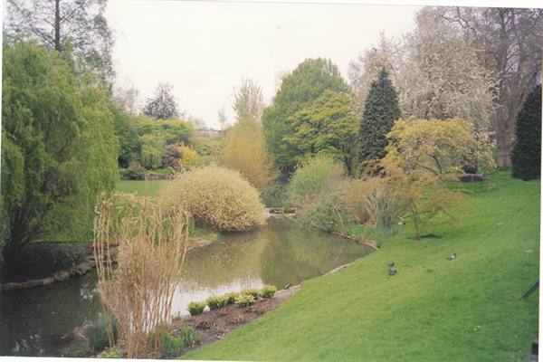 the wonderful English gardens