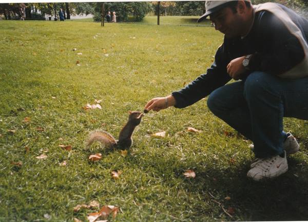 London squirrel
