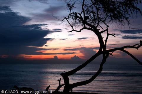 wonderful Timorese sunsets