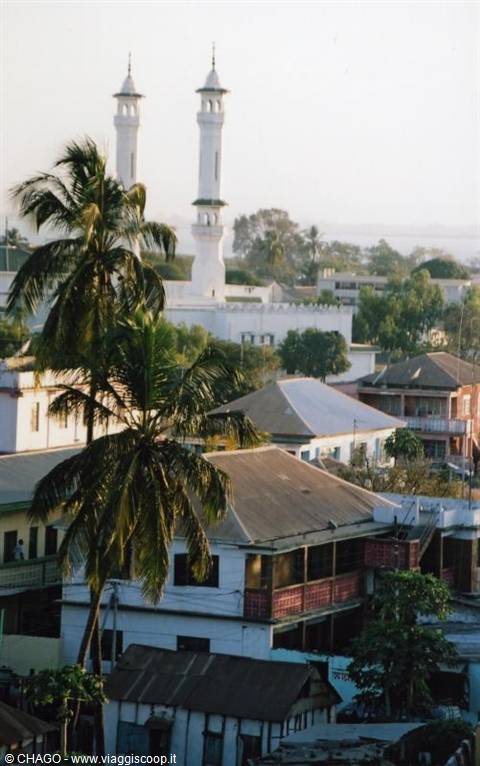 White mosque minarets above low rooftops among palms, morning light