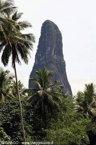 Gros Piton of Saint Lucia rising above jungle among coconut palms