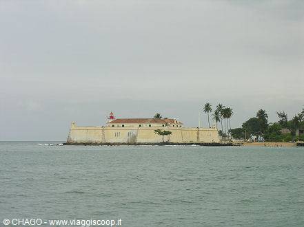 the fort 