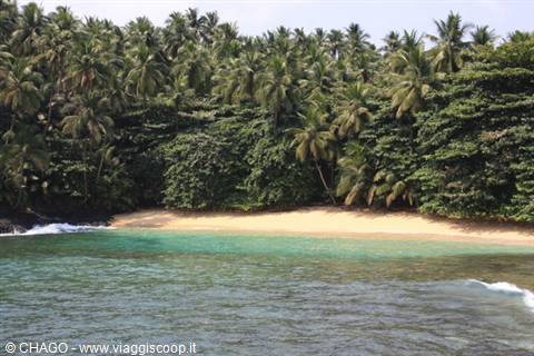 Sandy beach lined with dense palms and turquoise water, Ilhéu das Rolas