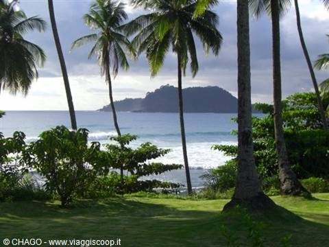 Palm trees on green shore facing ocean waves and a wooded island