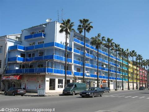 Palm trees in front of a building with blue balconies, cars on the road