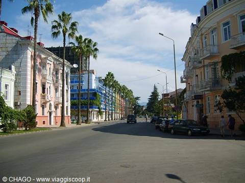 Palm-lined avenue with pastel buildings, parked cars, midday sunlight