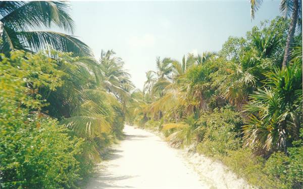 road to reach the Sian Ka'an biosphere reserve