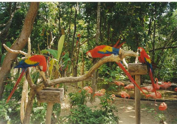 Xcaret park