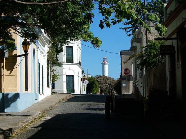 calle Leafy
