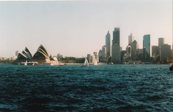 White sailboats on the water in front of Sydney Opera House and skyscrapers