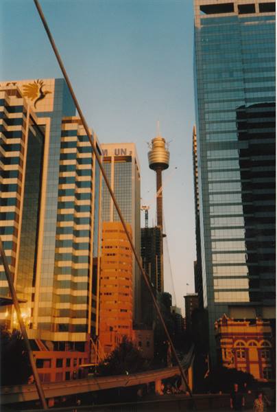 Sydney Tower rising between glass skyscrapers in warm golden light