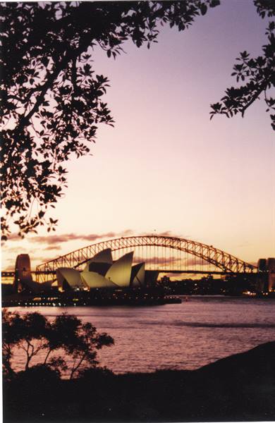 Sydney: Opera House and Harbour Bridge glowing through branches at dusk