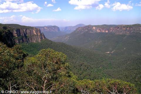 trip to the Blue Mountains