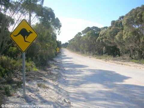 the roads of Kangaroo Island