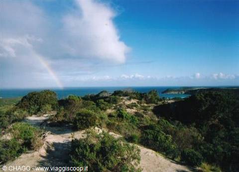 scenery of Kangaroo