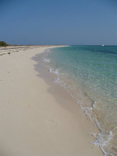 Pale sandy beach with clear waves and a distant boat