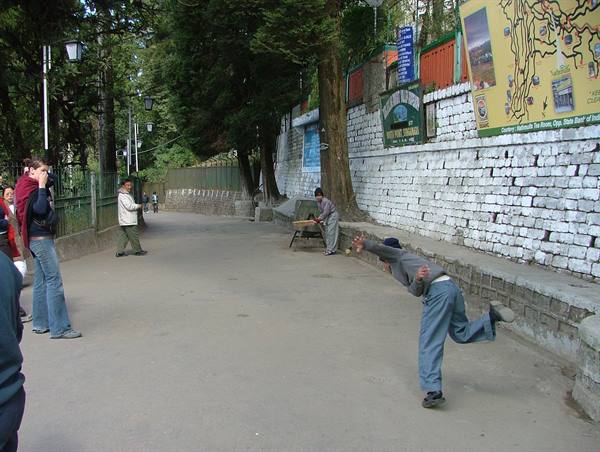 cricket players on the grass