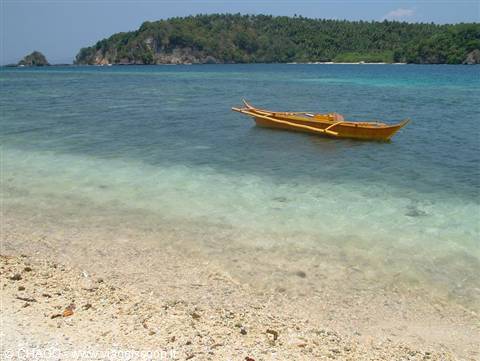 Yellow outrigger canoe floating in clear tropical bay near forested headland