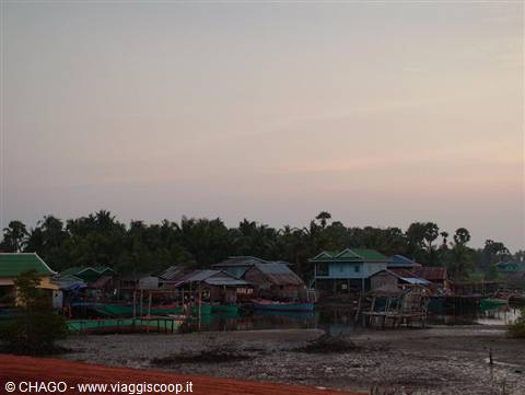 Stilt houses of wood and tin among palms on the muddy Tonlé Sap shore