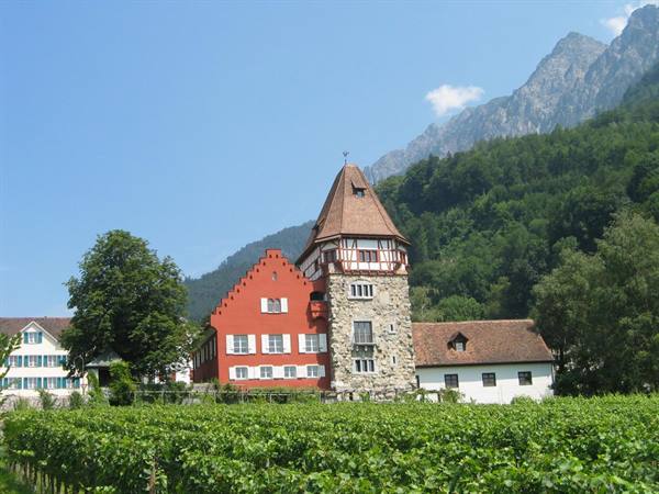 the red house