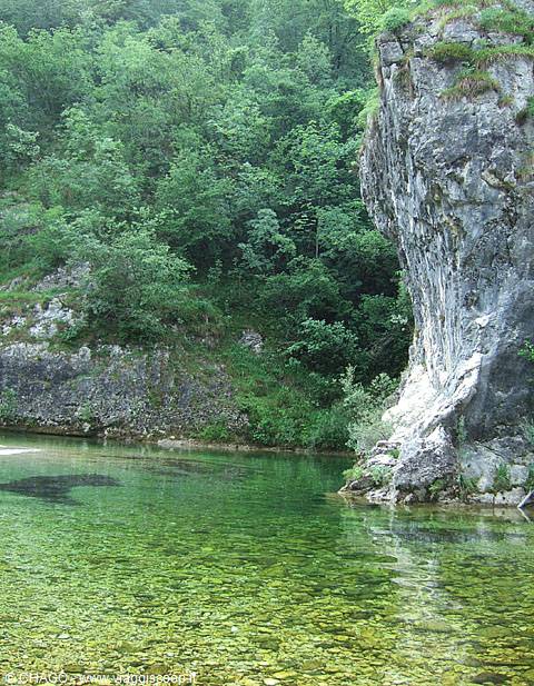 Tolmin