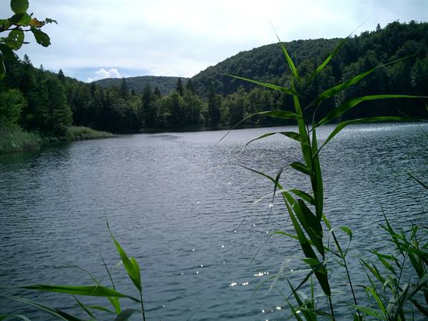 Lake Kozjak