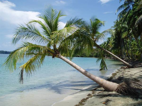 Bocas