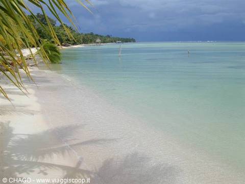 White sand beach with palm trees and calm turquoise water under cloudy sky