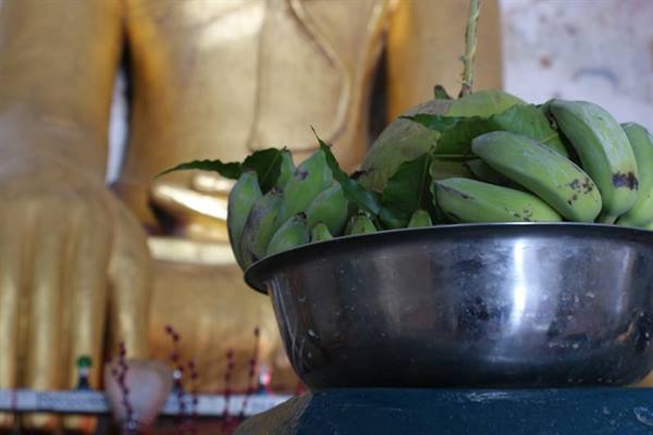 offering to the Buddha