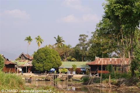 Wooden houses with tin roofs among palms along Inle Lake