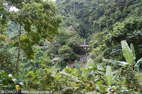 Waterfall in tropical forest with stone bridge and banana plants