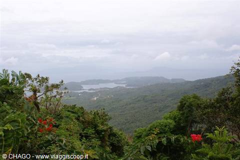 red flowers foreground lush green hills and bays under cloudy sky