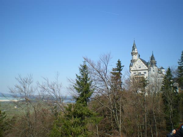  Schloss Neuschwanstein