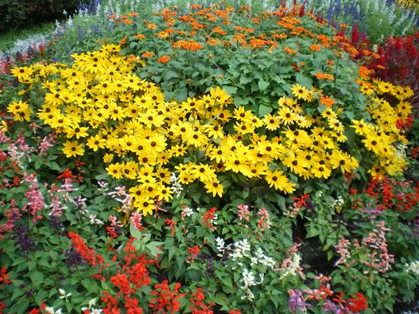 Margaret Island