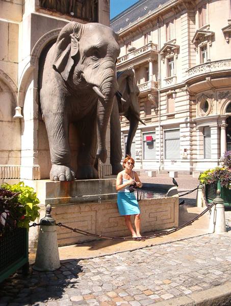 tilde in front of the famous elephant fountain in chambery