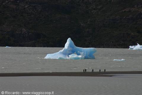 Grey Glacier