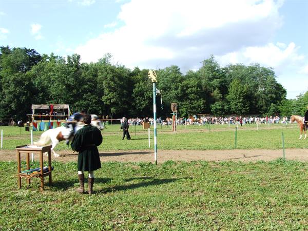 Knight on white horse and green-clad page at medieval joust, crowd watching